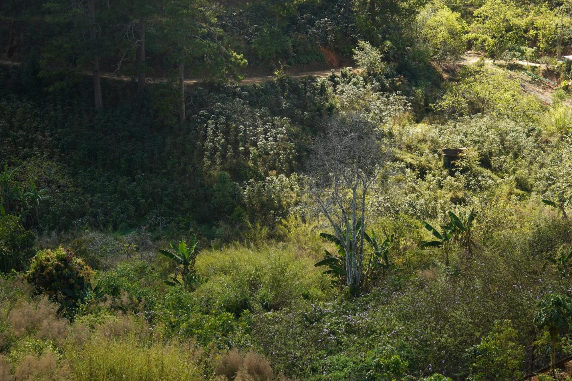 Emai Valley Đà Lạt Extérieur photo